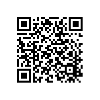 銀箭鋁銀漿,免噴涂鋁銀漿，效果杠杠的