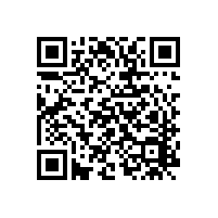 銀箭鋁銀漿應(yīng)用涂料之配方設(shè)計(jì)要點(diǎn)