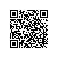 辦理DSMM認證的周期一般是多長時間？