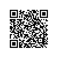 DSMM認證申報省錢與控費建議