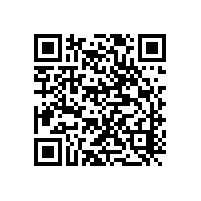 DSMM一共有幾個級別