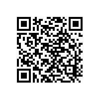 能力評估CS的分級標(biāo)準(zhǔn)是什么？