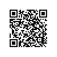 企業如何進行能力評估CS的自評？