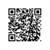 輸送污泥可以用轉(zhuǎn)子泵嗎？