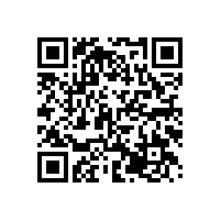 凸輪轉(zhuǎn)子泵的轉(zhuǎn)子葉片數(shù)不同有什么區(qū)別？