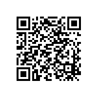 凸輪轉(zhuǎn)子泵流量輸出穩(wěn)定嗎？
