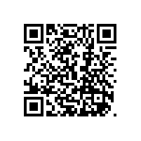 凸輪轉(zhuǎn)子泵流量穩(wěn)定嗎？