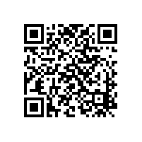 轉(zhuǎn)子與泵體間隙對(duì)轉(zhuǎn)子泵的性能是否有影響？