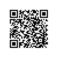 硬密封煤氣蝶閥使用的是什么結(jié)構(gòu)型式？