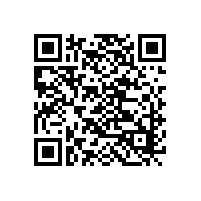 螺絲廠家告訴你非標(biāo)螺絲定做起訂量是多少？世世通打樣10粒起訂！