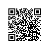 2015年舍弗勒集团-铜陵有色技术交流