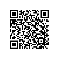 安徽华电芜湖发电有限公司