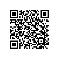 安徽捷越分享振动对FAG进口轴承产生损坏的表现