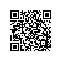 FAG轴承C系列轴承的优点