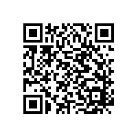 INA和FAG的滚动轴承优势明显