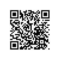 立磨磨辊轴承失效的分析