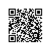 马钢（集团）控股有限公司