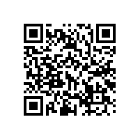 舍弗勒技术快车入荻港海螺水泥