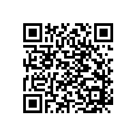 舍弗勒集团2016年第一季度业绩公布