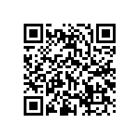 舍弗勒全球首个“未来工厂” 在九华正式奠基