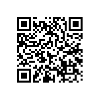 推力调心滚子轴承E1——更高成本效益和运行安全性