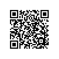 皖能马鞍山发电有限公司