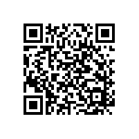 以静态和动态的不对中角度分析FAG调心轴承的调心能力