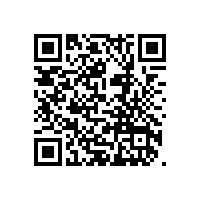 傳統(tǒng)干油潤(rùn)滑導(dǎo)致軸承使用壽命低的原因