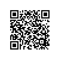 滾動軸承磨損失效的原因和解決方案