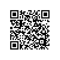 【華順油氣潤滑系統(tǒng)】軸承損傷常見問題及解決辦法