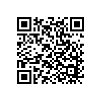 煙臺華順油氣集中潤滑董事長榮獲年度經(jīng)濟女性“最佳風(fēng)采獎”