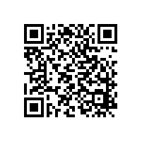 哪個廠家可以定制油氣潤滑系統(tǒng)？