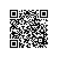 哪種潤滑方式更適合于極低速工況？