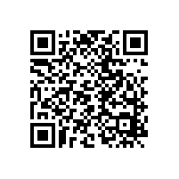 為什么說遞進(jìn)式分配器受油氣潤滑系統(tǒng)的“特別關(guān)注”