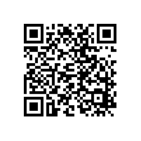 為什么說油氣潤滑更適合扇形段軸承的潤滑？