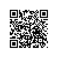 噸袋氣力輸送-上海化工園區