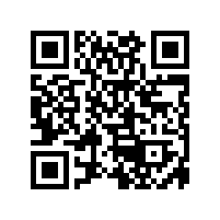 汽車微電機碳刷恒力彈簧