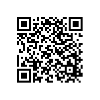 按照ISO9001要求持續(xù)提升基礎(chǔ)管理是銀箭鋁銀漿制勝法寶