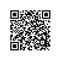 定個小目標之銀箭鋁銀漿