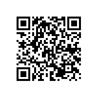 高端輪轂電鍍銀產(chǎn)品——銀箭鋁銀漿客戶立邦全新推出