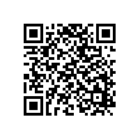 火辣7月銀箭鋁銀漿ZNA-110熱銷阿聯(lián)酋