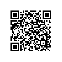 日系仿電鍍鋁銀漿在華優(yōu)勢(shì)受到銀箭品牌產(chǎn)品挑戰(zhàn)