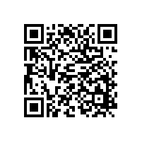山東銀箭金屬顏料公示公告