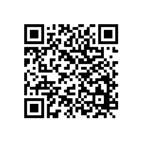 山東銀箭金屬顏料行業(yè)的卓越企業(yè)