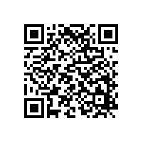 銀箭金屬顏料看國內(nèi)涂料原材料價格暴漲背后的深層意義