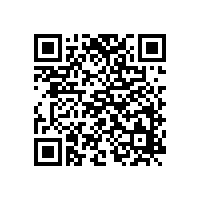 銀箭鋁鋁銀漿繼續(xù)幫您區(qū)分顏料和染料應用性能的不同