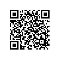 銀箭鋁銀漿陪您走走鋁銀漿的發(fā)展歷程及應(yīng)用