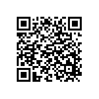 銀箭鋁銀漿穩(wěn)定生產(chǎn)保證貨源全心為您服務(wù)