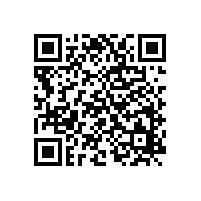 銀箭鋁銀漿在鉛筆芯中的應(yīng)用