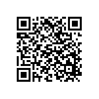 銀箭水性鋁銀漿與國內(nèi)水性顏料齊發(fā)展